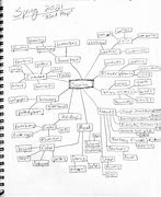 Image result for Mind Map Silent Spring