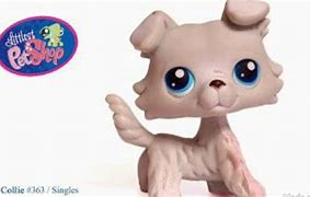 Image result for Lps Collie