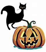 Image result for Hallowen Cat Pumpkin