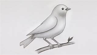 Image result for Gridding Art Bird