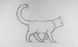 Image result for Motion Cat Wrld