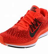 Image result for Nike Zoom Winflo X