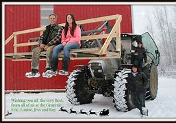 Image result for Christmas Cattle