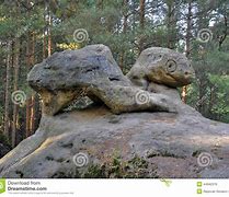 Image result for Turtle Formation