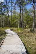 Image result for Lakes Near Beaumont TX