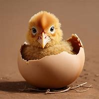 Image result for Baby Egg Head