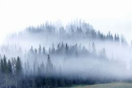 Image result for Mist Cloud