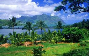 Image result for Best Nature Desktop Wallpapers Free