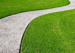 Image result for Zoysia Grass Lawn