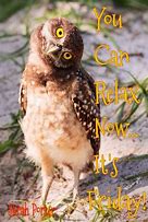 Image result for Happy Friday Owl