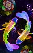 Image result for Lucky Fish Wallpaper