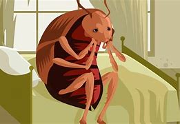 Image result for Mites That Live On Your Face