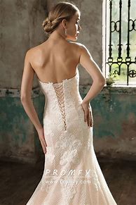 Image result for Champagne Lace Wedding Dress