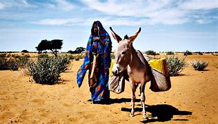 Image result for Niger People Indoans