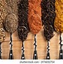 Image result for Masala Powder Icons