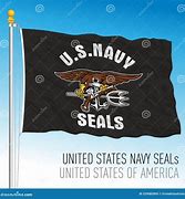 Image result for US Navy Snake Flag