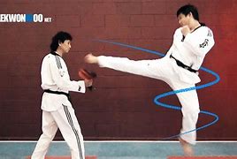 Image result for Taekwondo Steps