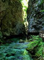 Image result for Vintgar Gorge