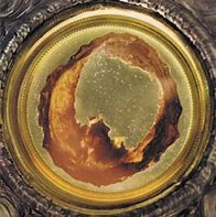 Image result for Eucharistic Miracle at Lanciano