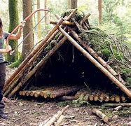 Image result for Build Survival Shelter