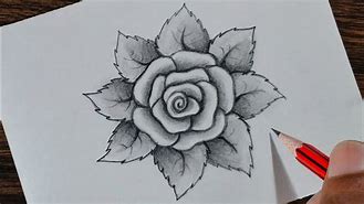 Image result for Drawn Roses Images