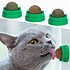 Image result for Catnip Balls Cat Toys