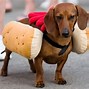 Image result for A Frozen Human Weiner