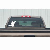 Image result for Snow Goose Decal