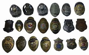 Image result for PNP DEG Badge