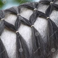 Image result for Braided Horse Mane