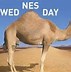 Image result for That Dam Camel Hump Day