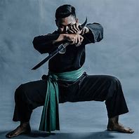 Image result for Silat