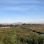 Image result for Upper Newport Bay Nature Preserve