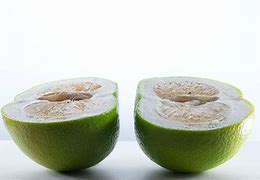 Image result for Different Kinds of Grapefruit