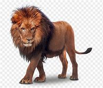 Image result for No Lion Sign