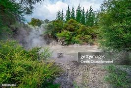 Image result for Rotorua Caldera