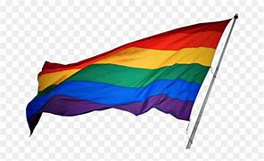 Image result for Rainbow Flag No Background