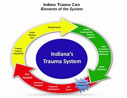 Image result for Trauma Services