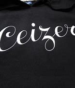 Image result for Ceiztur Logo