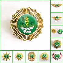 Image result for Pin Nasyiatul Aisyiyah