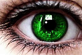 Image result for 10 Green Eyes