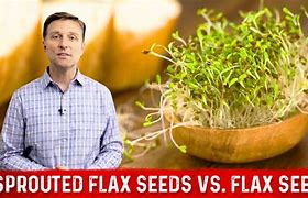 Image result for Sprouted Flax