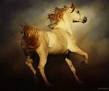 Image result for Majestic Horse Pictures