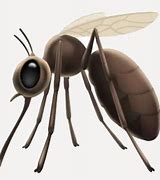 Image result for Insect Emoji