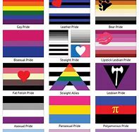 Image result for 100 LGBTQ Flags