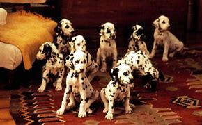 Image result for 101 Dalmatians Movie