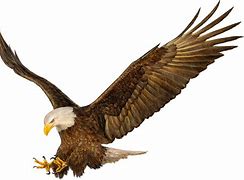 Image result for Double Headed Eagle Transparent