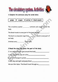 Image result for Human Circulatory System Worksheet