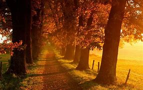 Image result for Beautiful Fall Scenery Wallpaper