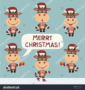 Image result for Funny Christmas Cows